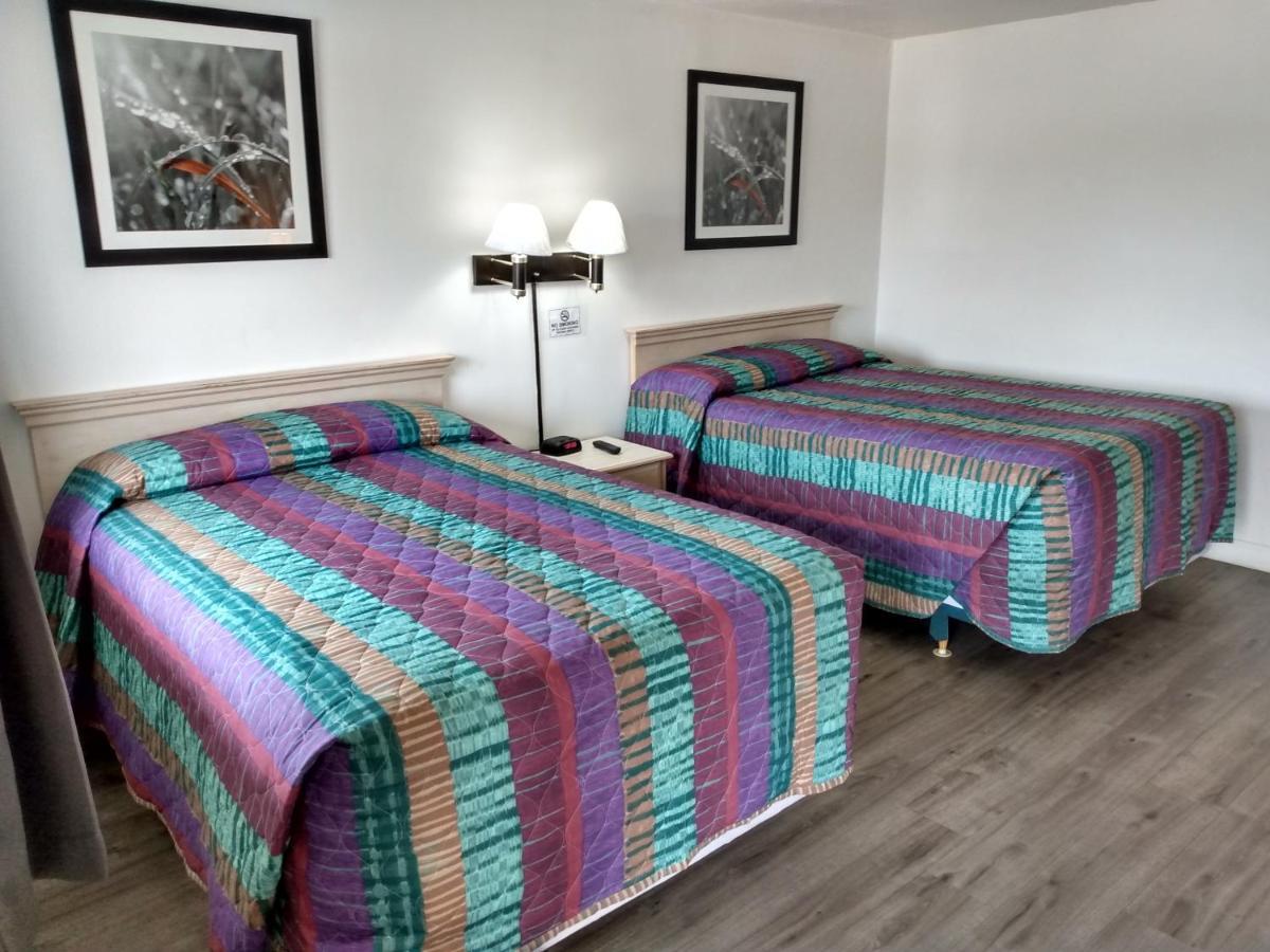 Eldorado Motel ニューキャッスル エクステリア 写真